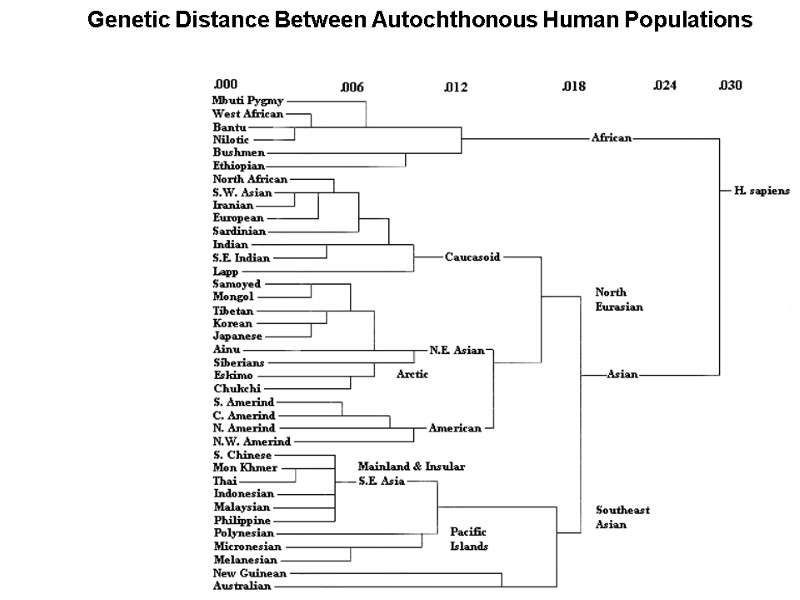 Genetic Distance Between Autochthonous Human Populations